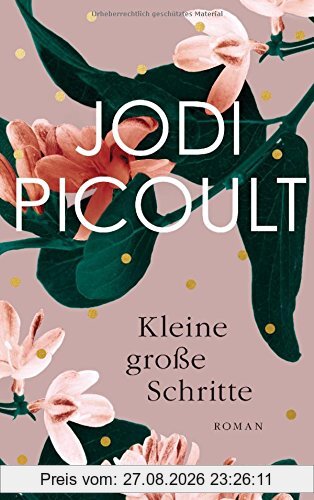 Kleine große Schritte: Roman