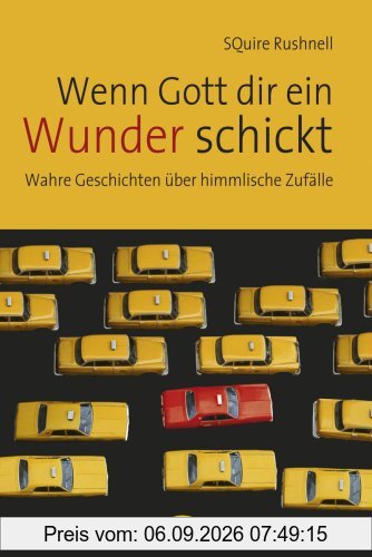 Wenn Gott dir ein Wunder schickt Wahre Geschichten über himmlische Zufälle