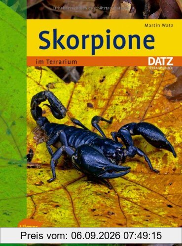Skorpione im Terrarium -