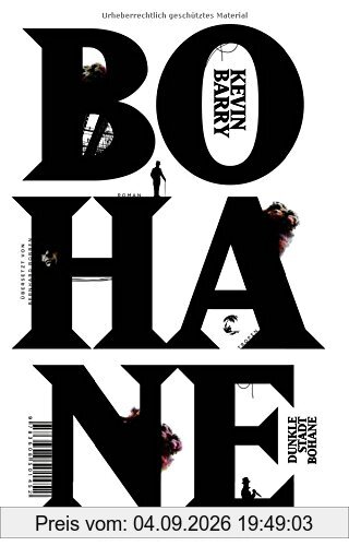 Dunkle Stadt Bohane: Roman