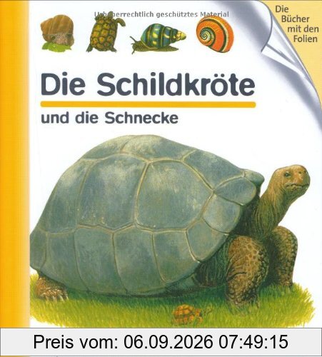 Die Schildkröte und die Schnecke