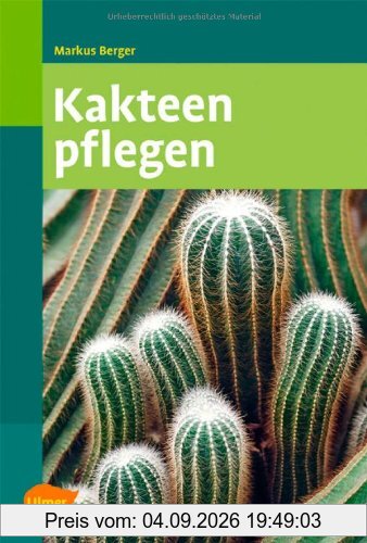 Kakteen pflegen