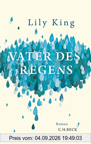 Vater des Regens: Roman