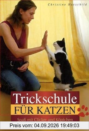 Trickschule für Katzen: Spaß mit Clicker und Köpfchen