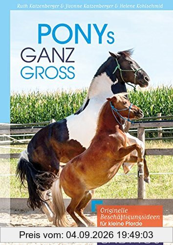 Ponys ganz groß: Originelle Beschäftigungsideen für kleine Pferde