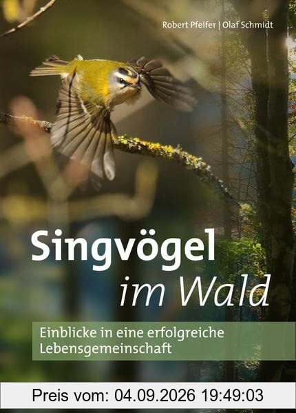 Singvögel im Wald: Einblicke in eine erfolgreiche Lebensgemeinschaft