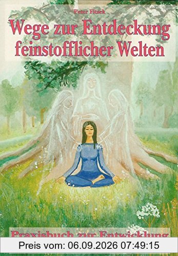 Wege zur Entdeckung feinstofflicher Welten: Praxisbuch zur Entwicklung medialer Fähigkeiten