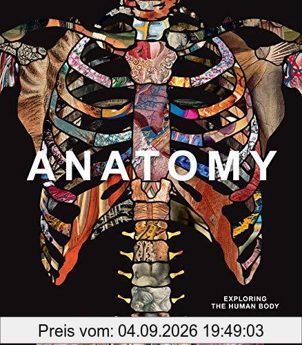 Anatomy: Exploring the Human Body (Explorer)