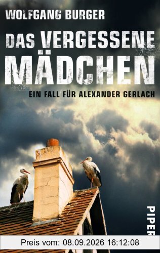 Das vergessene Mädchen: Ein Fall für Alexander Gerlach (Alexander-Gerlach-Reihe, Band 9)