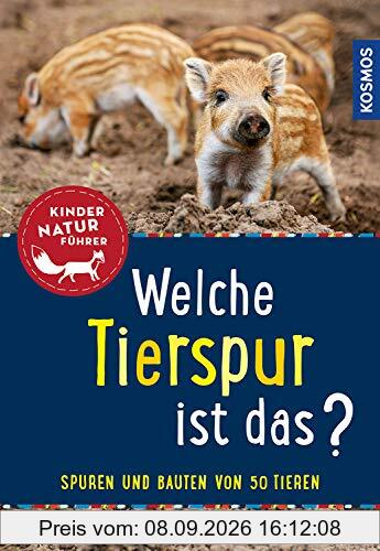 Welche Tierspur ist das? Kindernaturführer: Trittsiegel - Fraßspuren - Bauten - Kot