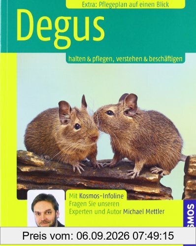 Degus: Halten & Pflegen, Verstehen & Beschäftigen
