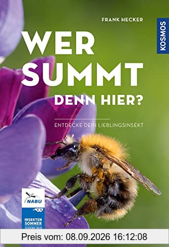 Wer summt denn hier?: Entdecke dein Lieblingsinsekt