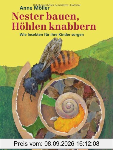 Nester bauen, Höhlen knabbern: Wie Insekten für ihre Kinder sorgen