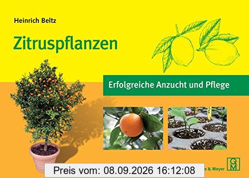 Zitruspflanzen: Erfolgreiche Anzucht und Pflege