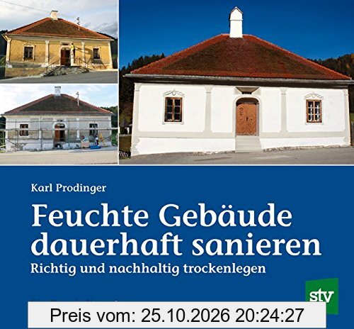 Feuchte Gebäude dauerhaft sanieren: Richtig und nachhaltig trockenlegen