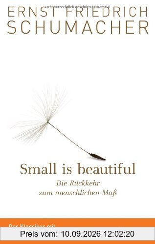 Small is beautiful: Die Rückkehr zum menschlichen Maß