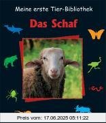 Binding : Gebundene Ausgabe, Edition : 1, Label : Esslinger Verlag Schreiber, Publisher : Esslinger Verlag Schreiber, medium : Gebundene Ausgabe, numberOfPages : 29, publicationDate : 2005-01-01, authors : Émilie Dubois, Anne Brauner, languages : german, ISBN : 3480220657