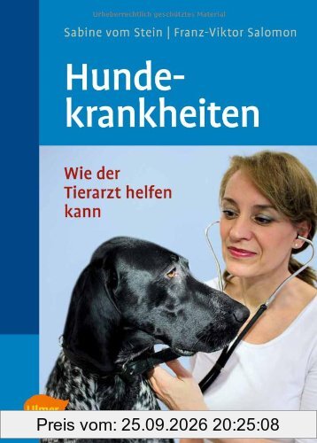 Hundekrankheiten: Wie der Tierarzt helfen kann