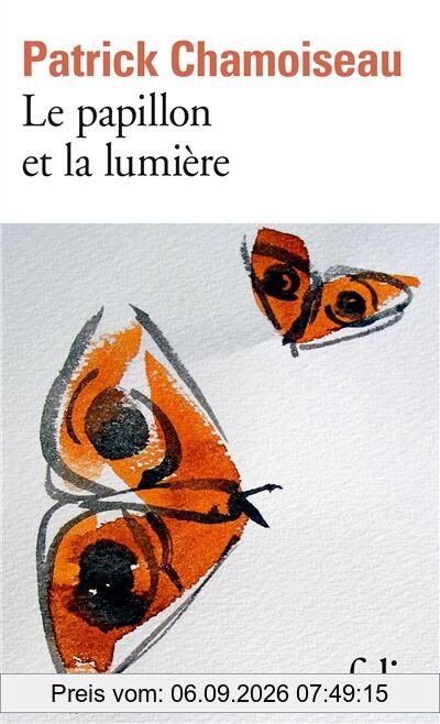 Le papillon et la lumière