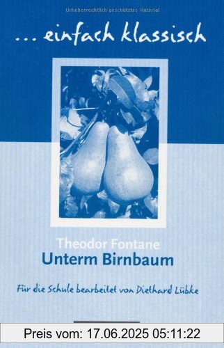 Binding : Taschenbuch, Label : Cornelsen Verlag, Publisher : Cornelsen Verlag, medium : Taschenbuch, numberOfPages : 96, publicationDate : 2007-04-01, authors : Theodor Fontane, publishers : Diethard Lübke, languages : german, ISBN : 3464609510