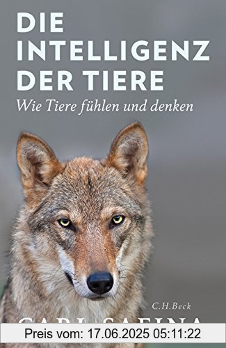 Binding : Gebundene Ausgabe, Edition : 1, Label : C.H.Beck, Publisher : C.H.Beck, medium : Gebundene Ausgabe, numberOfPages : 526, publicationDate : 2017-03-16, authors : Carl Safina, translators : Sigrid Schmid, Gabriele Würdinger, languages : german, ISBN : 3406707904