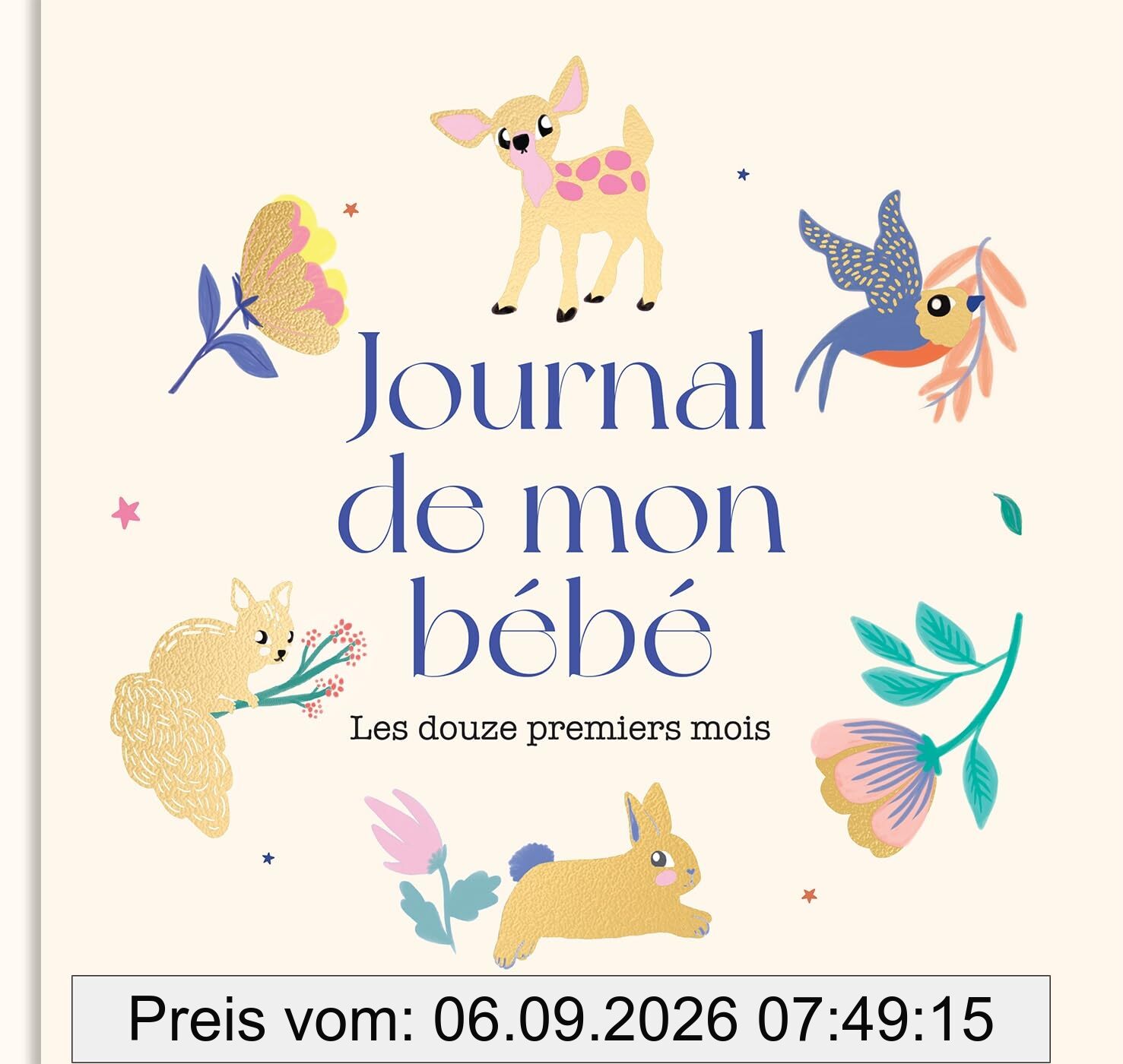 Journal de mon bébé : les douze premiers mois