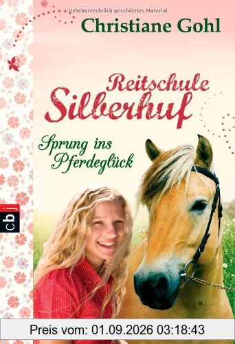 Reitschule Silberhuf - Sprung ins Pferdeglück