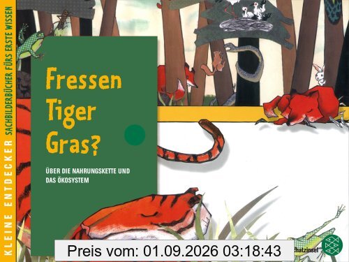 Kleine Entdecker - Fressen Tiger Gras?: Über die Nahrungskette und das Ökosystem