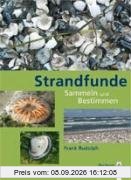 Strandfunde: Sammeln & Bestimmen von Tieren und Pflanzen an Nord- und Ostseeküste