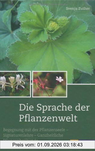 Die Sprache der Pflanzenwelt: Begegnungen mit der Pflanzenseele - Signaturenlehre - Ganzheitliche Pflanzenheilkunde