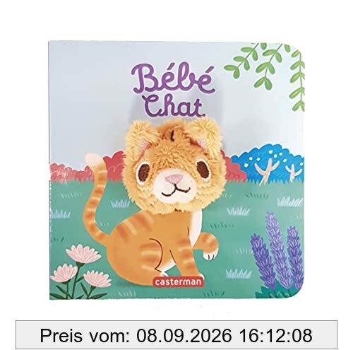 Bébé chat