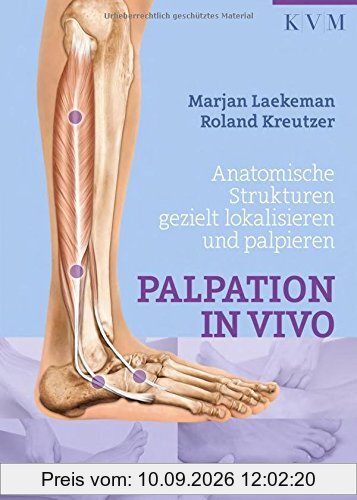 Palpation in Vivo: Anatomische Strukturen gezielt lokalisieren und palpieren
