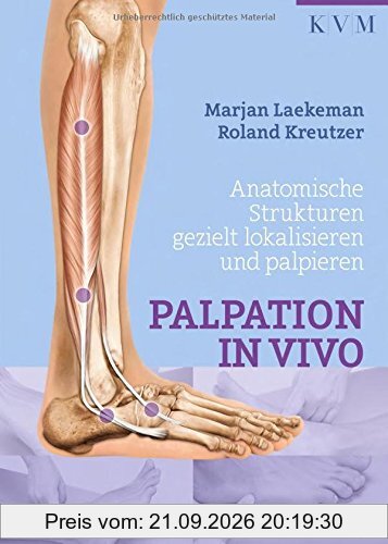 Palpation in Vivo: Anatomische Strukturen gezielt lokalisieren und palpieren