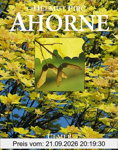Ahorne