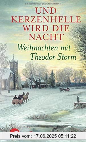 Binding : Gebundene Ausgabe, Edition : 1., Label : Aufbau Verlag, Publisher : Aufbau Verlag, medium : Gebundene Ausgabe, numberOfPages : 144, publicationDate : 2019-09-13, authors : Theodor Storm, publishers : Antje Erdmann-Degenhardt, ISBN : 335103492X
