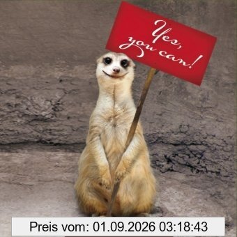 Yes, you can!