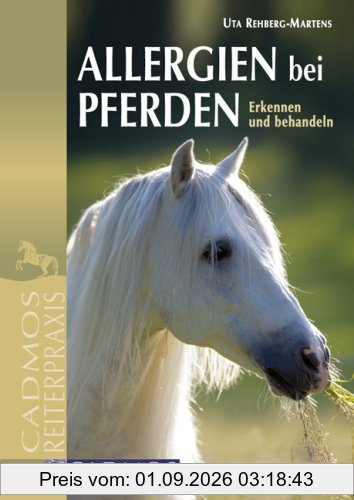 Allergien bei Pferden: Erkennen und behandeln