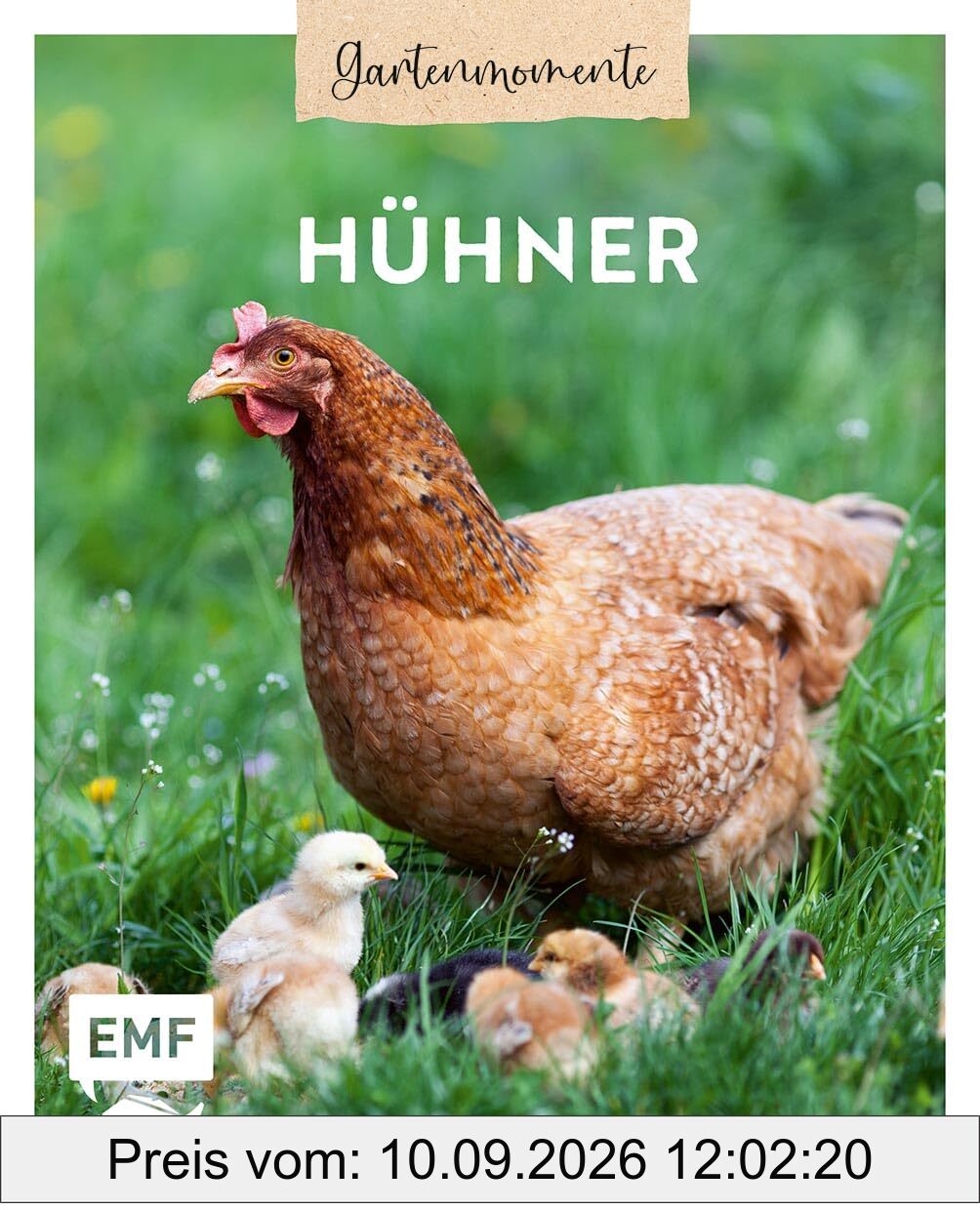 Gartenmomente: Hühner: Hühnerrassen, artgerechte Haltung und Pflege im eigenen Garten