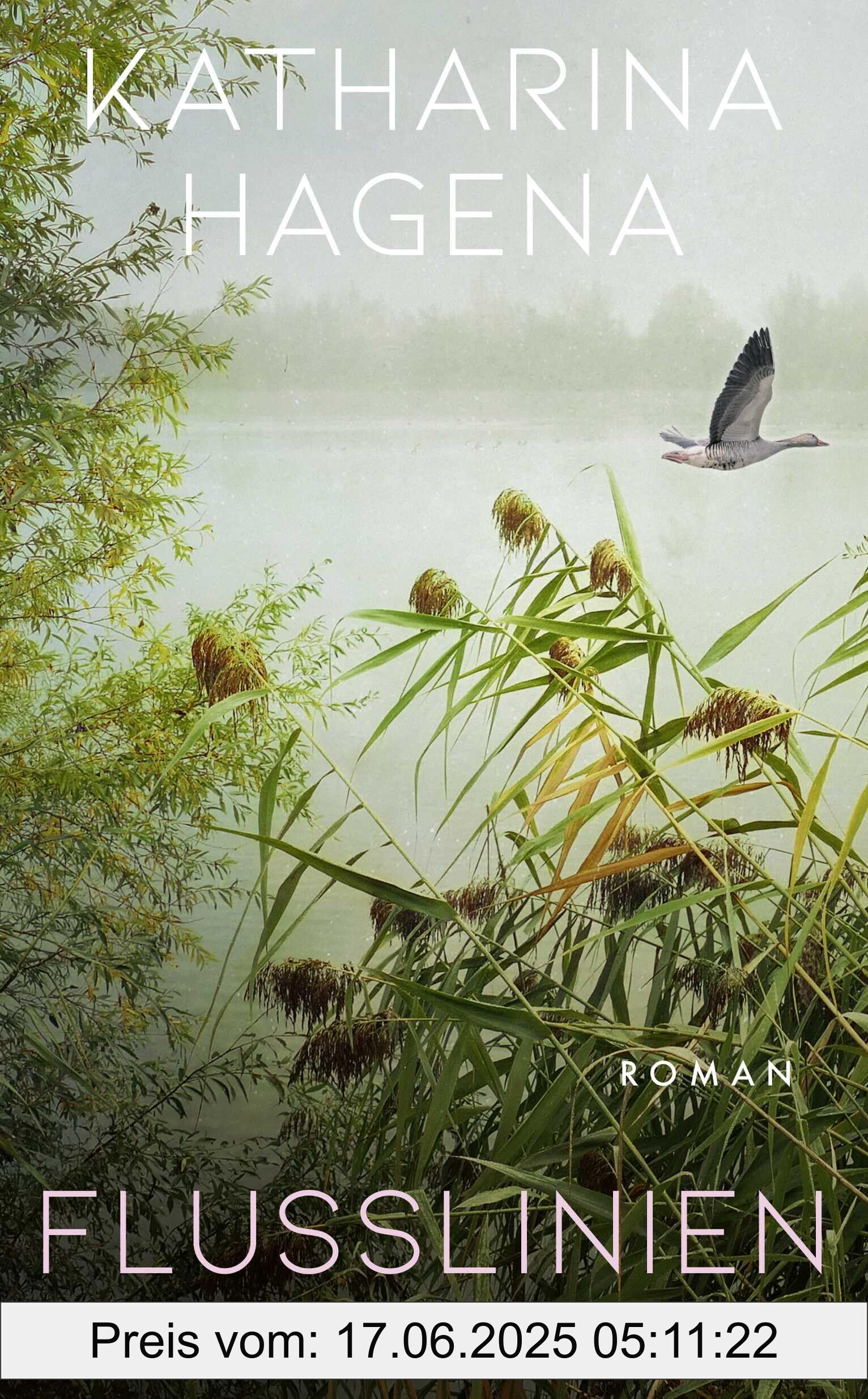 Binding : hardcover, Edition : 1., Label : Flusslinien : Roman, medium : hardcover, numberOfPages : 400, publicationDate : 2025-03-13, releaseDate : 2025-03-13, languages : german, ISBN : 3462007297