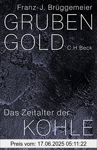 Binding : Gebundene Ausgabe, Edition : 1, Label : C.H.Beck, Publisher : C.H.Beck, medium : Gebundene Ausgabe, numberOfPages : 456, publicationDate : 2018-05-17, authors : Franz-Josef Brüggemeier, ISBN : 3406722210