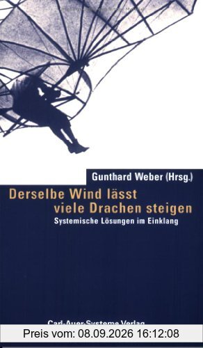 Derselbe Wind läßt viele Drachen steigen: Systemische Lösungen im Einklang
