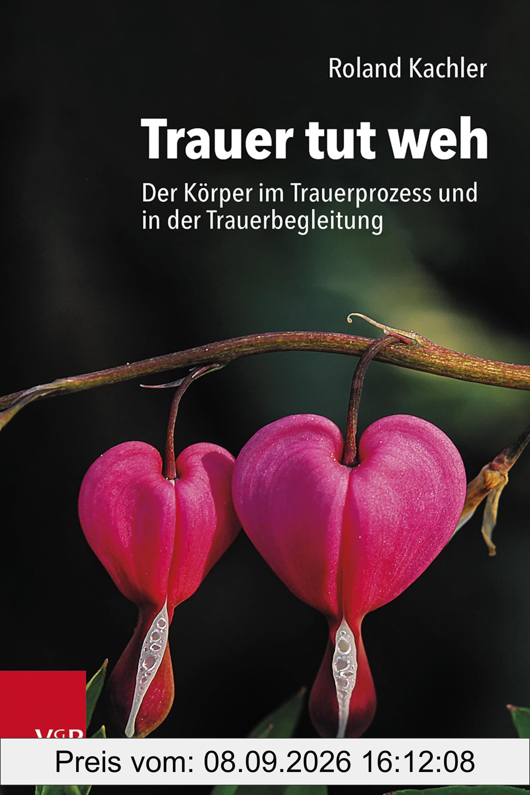 Trauer tut weh: Der Körper im Trauerprozess und in der Trauerbegleitung