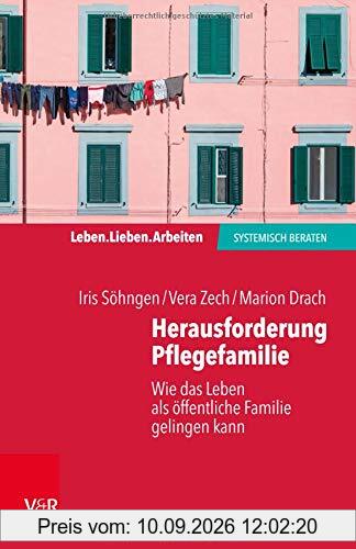 Herausforderung Pflegefamilie: Wie das Leben als öffentliche Familie gelingen kann (Leben. Lieben. Arbeiten: systemisch beraten)