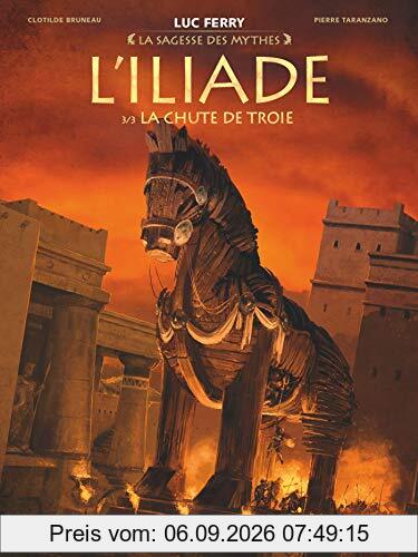 L'Iliade. Vol. 3. La chute de Troie