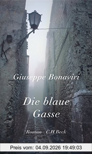 Die blaue Gasse: Roman