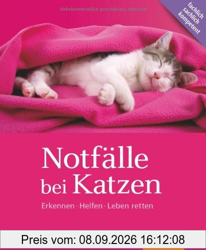 Notfälle bei Katzen: Erkennen Helfen Leben retten