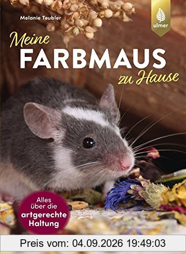 Meine Farbmaus zu Hause