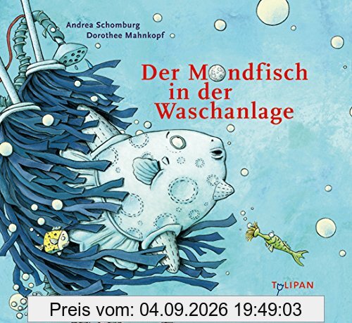 Der Mondfisch in der Waschanlage