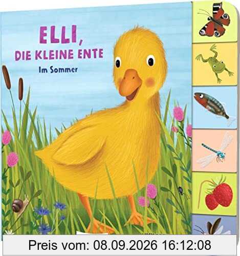Elli, die kleine Ente: Im Sommer | Jahreszeiten-Pappebuch mit Griff-Register