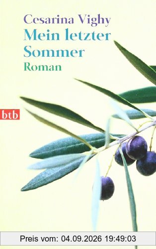 Mein letzter Sommer: Roman